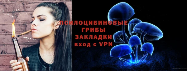 mix Козельск