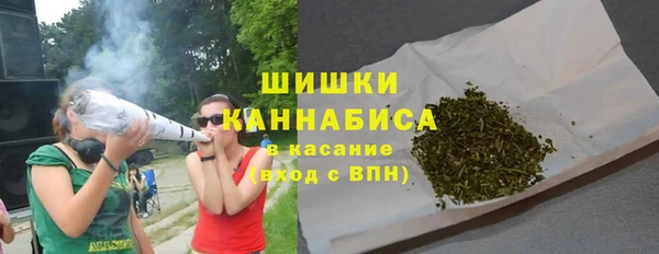молекула духа Балахна