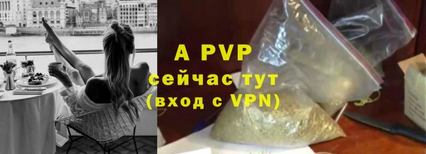 молекула духа Балахна