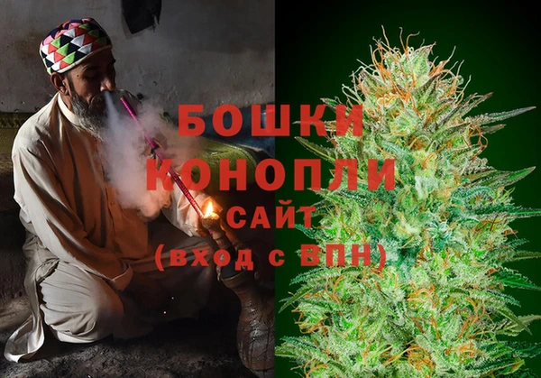 молекула духа Балахна