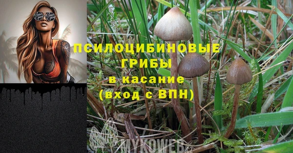 молекула духа Балахна