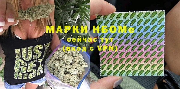 молекула духа Балахна