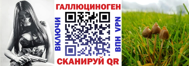 Псилоцибиновые грибы прущие грибы  Верея 